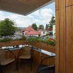 Arber & Wellness Sumava *