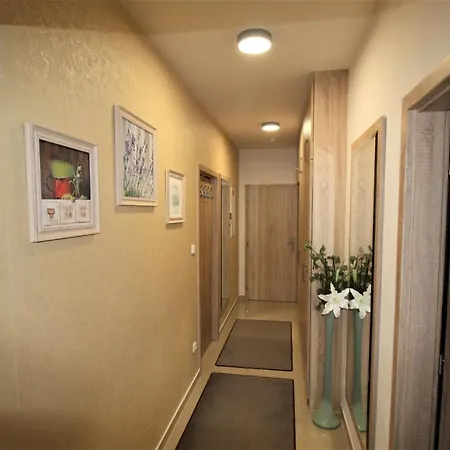 Arber & Wellness Sumava * Železná Ruda