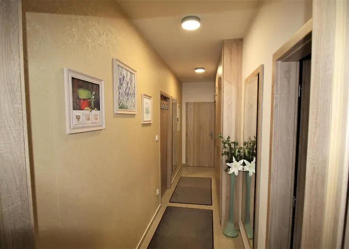 Arber & Wellness Sumava * Železná Ruda